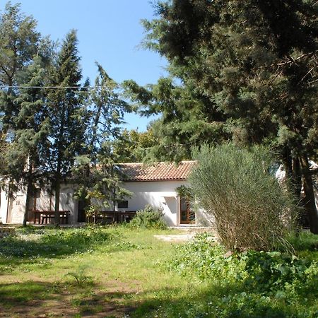 B&B Parco Del Lamione 지오이아델콜레 외부 사진