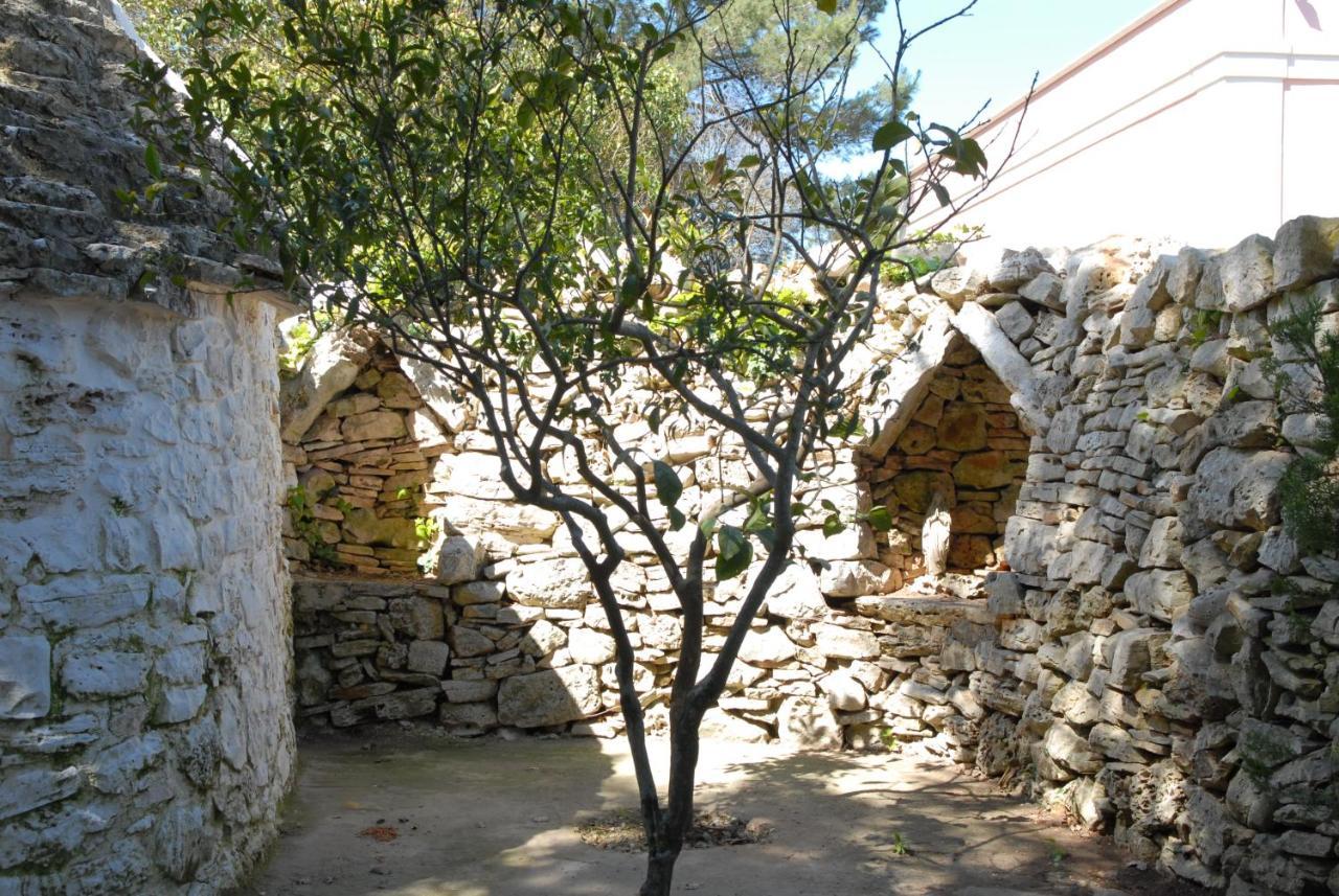 B&B Parco Del Lamione 지오이아델콜레 외부 사진