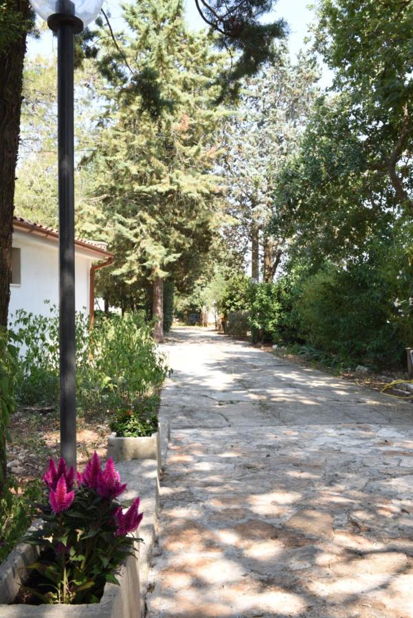 B&B Parco Del Lamione 지오이아델콜레 외부 사진